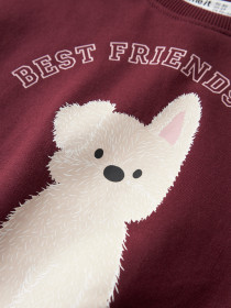 NAME IT Sweatshirt Viloui Burgundy Best Friend Club